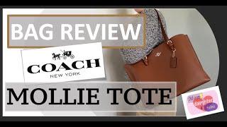 COACH MOLLIE TOTE REVIEW AND WHAT FITS BY MOMDAUGHTER TALK