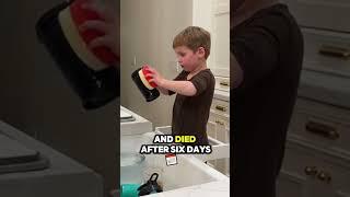 Emilie Kiser refused pool guardrails; son Trigg's final video revealed a creepy truth.