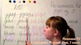 Peremena TV Русский язык, Быстрова, №210