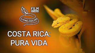 Costa Rica: Pura Vida - wildlife diversity documentary, Living Zoology film studio