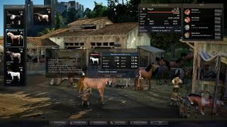 Black Desert - How to Use the Breeding Market to Breed Your Horses