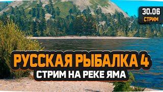 Русская Рыбалка 4 — Стрим на реке Яма