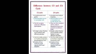 Difference between C3 and C4 cycle