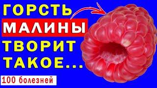 Зачем Вам НАДО ЕСТЬ МАЛИНУ? Польза и Вред Малины для организма  | Полезные советы для жизни