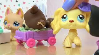 LPS: Behind the Scenes (Doctor Days)