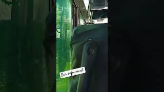 Md Farhad 786 #youtubeshorts #kisan #ameen