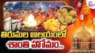 Tirumala Laddu | తిరుమల లడ్డూ కల్తీ కి ప్రాయశ్చిత్తంగా శాంతి హోమం..|Maha Shanthi Yagam In Tirumala