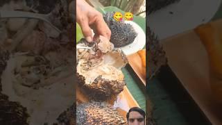 #seafood #fish #streetfood #satisfying #wildernesscooking #fishgrill #freshfishrecipe #catchandcook