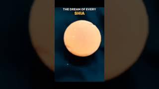 the dream of every Shia.. only karbala 🫀 #dream #wish
