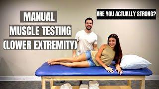 Manual Muscle Testing Lower Extremity (For Beginners)