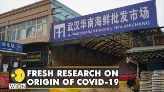 First COVID-19 patient was a female seafood vendor at Huanan market, scientist claims | Coronavirus