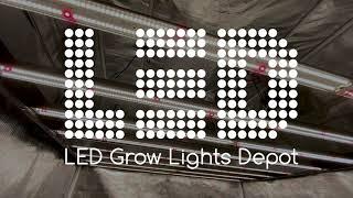 LED Grow Lights Depot - Your Go-To LED Store!