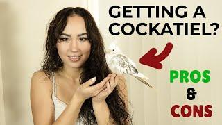 The Shocking Pros and Cons of Owning A Cockatiel – Must Watch Advice Before Bringing One Home!