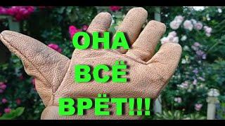 ОНА ВСЁ ВРЁТ! - кричали хейтеры.