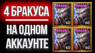 4 БРАКУСА vs. Raid: SL / Сводил пачку из 4 волков на аренку и ВФ, посмеялся и записал видео, ауф :))