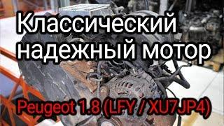 Надежный "француз" с "мокрыми" гильзами. Веселая разборка классического двигателя (LFY / XU7JP4).