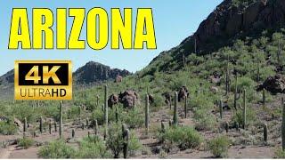 4K Saguaro Fields and Desert Plants in Arizona | 4K Drone Footage 