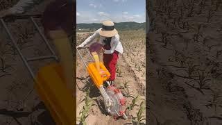 PhotosynthesisProject Fertilization Roller hand push top dresser urea fertilizer applicator