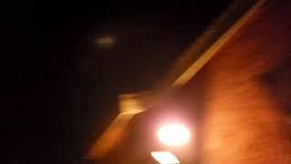 BioHazard Whistle Salute Rocket firework