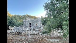 Stone farmhouse with centuries-old olive grove and sea view.