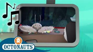 Octonauts - Yeti Crab and Others | Cartoons for Kids | Creature Reports 