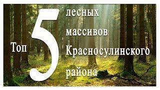 Топ 5 лесных массивов Красносулинского района