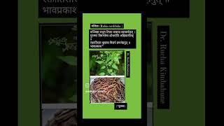Manjishtha #dravya #dravyagun #ayurveda