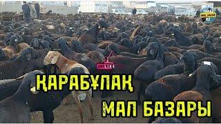 Қой базар  25.09.2024 Қарабұлақ мал базары