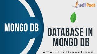 Database in Mongo DB | Mongo DB Course Videos | Mongo DB Course | Intellipaat