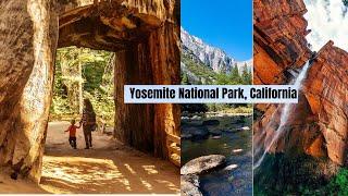 Yosemite National Park, California | Explore Yosemite National Park & Beyond | USA | Travel