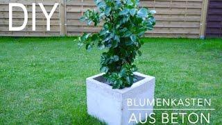 DIY Blumenkasten aus Beton Anleitung