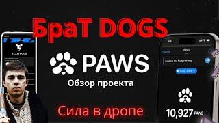 Обзор проекта PAWS