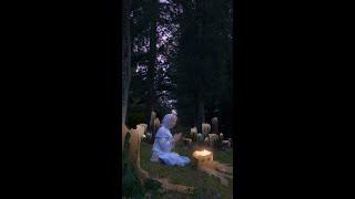 Ecology is a new religion. Ellen Sheidlin video. Making of.