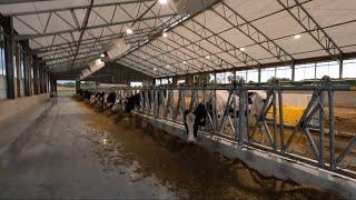 Training Cows from the Lely Robot "Fetch" List! October 5-6, 2024