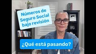 Última Hora: Números de Seguro Social Etiquetados como Fraudulentos