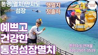 [통영 만지도]건강하고 깨끗하고 맛있는 통영멸치[한려수도건어물][통영여행][통영맛집][KBS N잡러 스타트업크리에이터][통영가볼만한곳][통영핫플레이스]