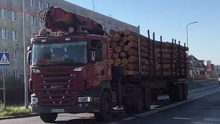 Scania Turbo sound holztransport