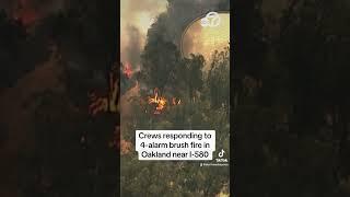 Crews responding to 4-alarm brush fire in Oakland near I-580