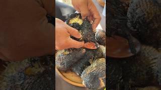 This Weird Trick Makes Dangerous Fish SAFE?! 