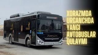 Xorazm, Urganchda Yangi aftobusa minish narxi qancha. Aftobus qanday qulayliklari bor.