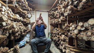 The process of making a bamboo flute from a single bamboo. A workshop with 100 years of history.