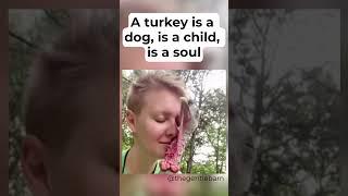 A Turkey Is a Dog, Is a Child, Is a Soul  #shorts #youtubeshorts #turkey