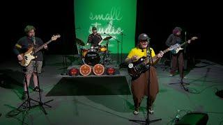 Dana Skully and the Tiger Sharks - Full Performance | Small Studio Sessions