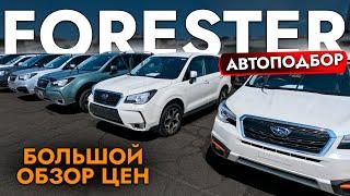 АвтоПодбор SUBARU FORESTER 4WD️КРОССОВЕРЫ️ ОБЗОР ЦЕН️ HARRIER I X-TRAIL