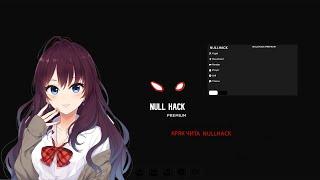 Гайд как установить кряк NullHack Premium ️ Nullhack Premium  Funtime  Reallyworld