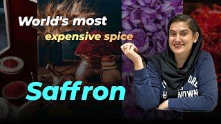 Secrets of Saffron:Benefits,How to use& why it costs more than Gold in Iran's First Saffron Workshop