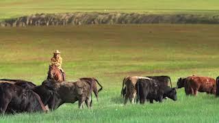 Beaverhead Outdoors Ranch Group