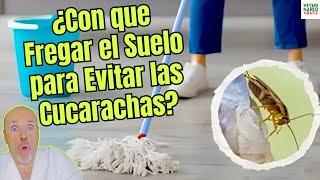 🪳 GOODBYE COCKROACHES!  WHAT SHOULD YOU WIPE THE FLOOR WITH TO PREVENT THEM AT HOME? 