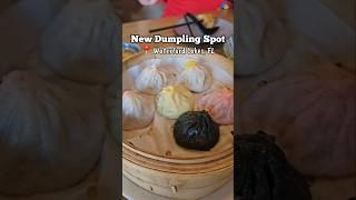 NEW Dumpling & Bao Bun Spot in Waterford Lakes | Zen Dumpling