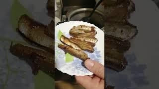 Бакля в скороварке. вкусные речные шпроты